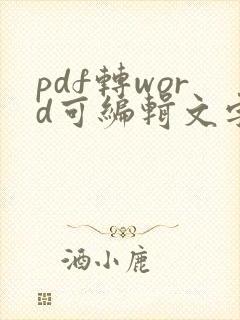 pdf转word可编辑文字