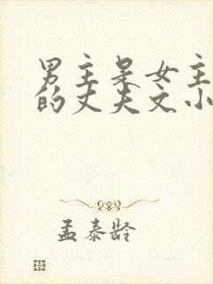 男主是女主姐姐的丈夫文小说