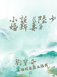 小说《陆少的暖婚新妻》