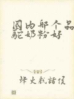 国内哪个品牌的驼奶粉好