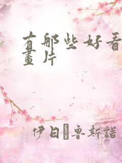 有那些好看的动画片