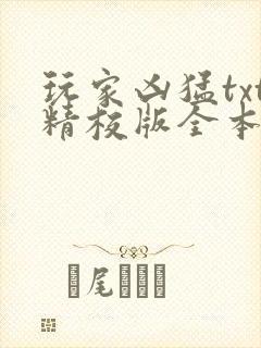 玩家凶猛txt精校版全本下载