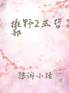 撒野2巫哲第二部