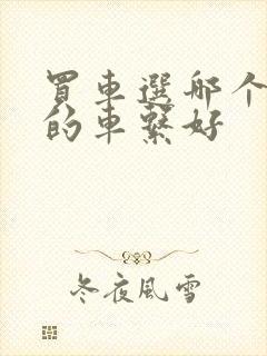 买车选哪个牌子的车系好