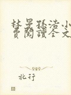 林曼孙浩小说免费阅读全文最新章节