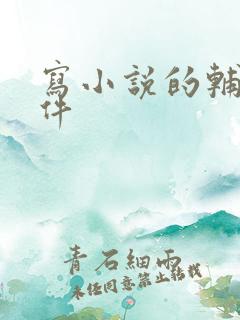 写小说的辅助软件