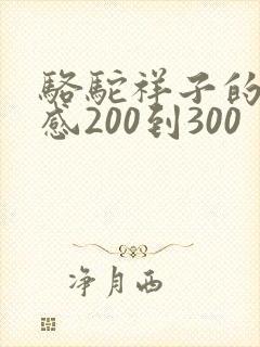 骆驼祥子的读后感200到300