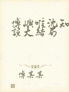 傅屿唯沈知意小说大结局