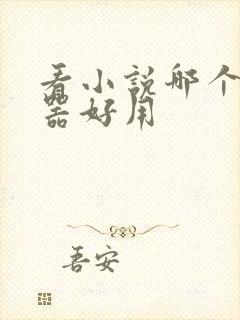 看小说哪个浏览器好用