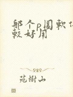 那个p图软件比较好用