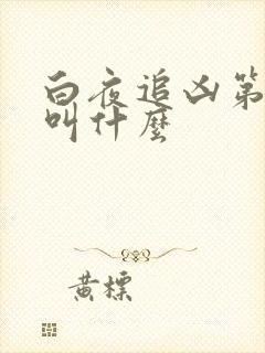 白夜追凶第二季叫什么