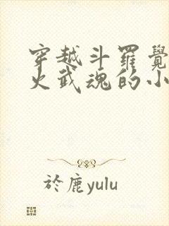 穿越斗罗觉醒异火武魂的小说