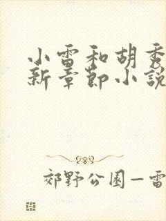 小雷和胡秀英最新章节小说阅读全文在线