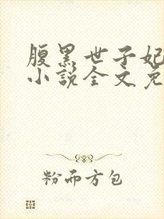 腹黑世子妃日常小说全文免费阅读