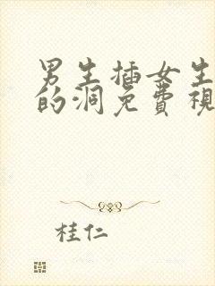 男生插女生下面的洞免费视频