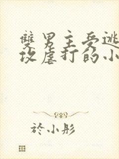 双男主受逃跑被攻虐打的小说