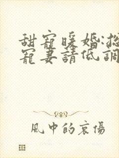 甜宠暖婚:总裁宠妻请低调