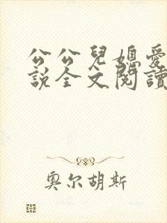 公公儿媳爱你小说全文阅读