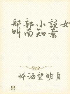 哪部小说女主角叫南知意