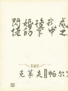 闪婚后我成了大佬的掌中之物全集