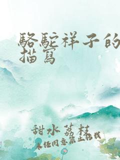 骆驼祥子的外貌描写