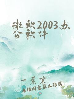 微软2003办公软件