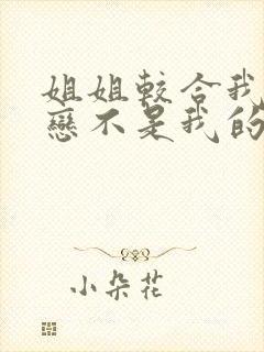 姐姐较合我的初恋不是我的亲姐姐 动漫