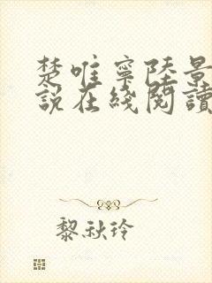 楚唯宁陆景衔小说在线阅读