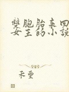 双胞胎来回换骗女主的小说