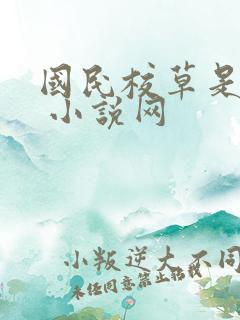 国民校草是女生 小说网