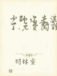 少帅你老婆又跑了.免费阅读