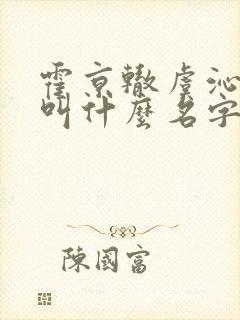 霍京辙虞沁小说叫什么名字