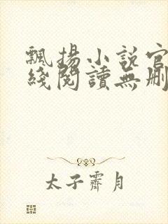 飘扬小说官情在线阅读无删减