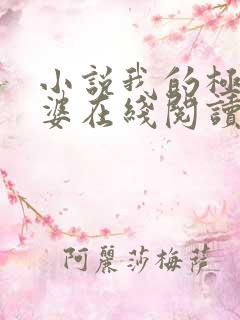 小说我的极品老婆在线阅读全文