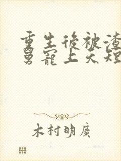 重生后被渣男舅舅宠上天短剧免费观看全集