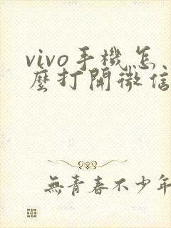 vivo手机怎么打开微信视频美颜