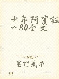 少年阿宾钰慧1～80全文