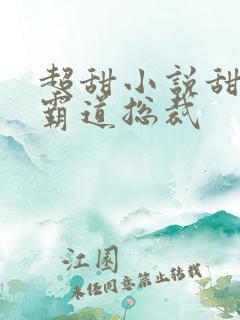 超甜小说甜宠文霸道总裁