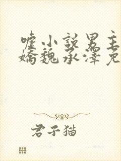 嘘小说男主是病娇魏承泽免费阅读