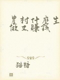 农村什么生意好做又赚钱