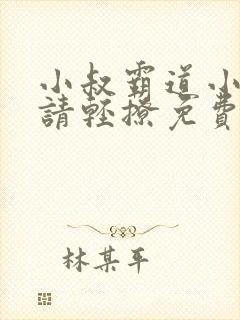 小叔霸道小叔 请轻撩免费漫画