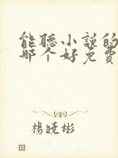 能听小说的软件哪个好免费