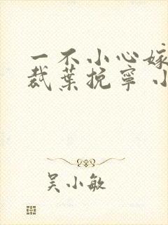 一不小心嫁了总裁叶挽宁 小说