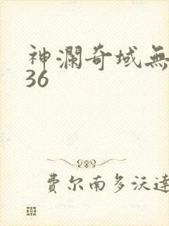 神澜奇域无双珠36