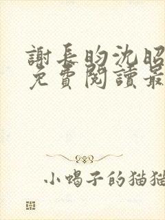 谢长昀沈昭小说免费阅读最新章节