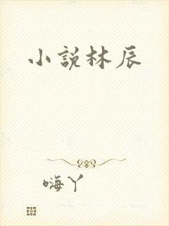 小说林辰
