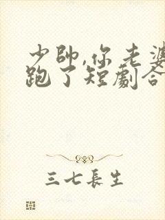 少帅,你老婆又跑了短剧合集