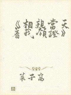 《相亲当天他拉着我领证》全集