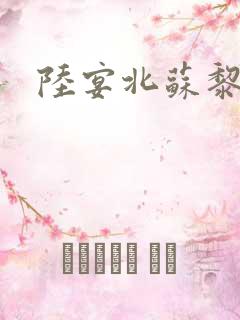 陆宴北苏黎小说