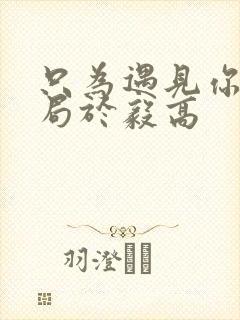 只为遇见你大结局于毅高